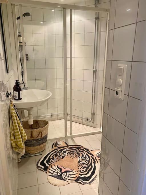 Sentral 2 Roms Pa Gronland Apartment Oslo